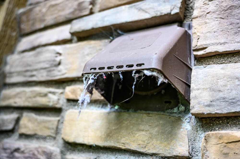 A weathered brown vent embedded in a stone wall is heavily draped with tangled spiderwebs.